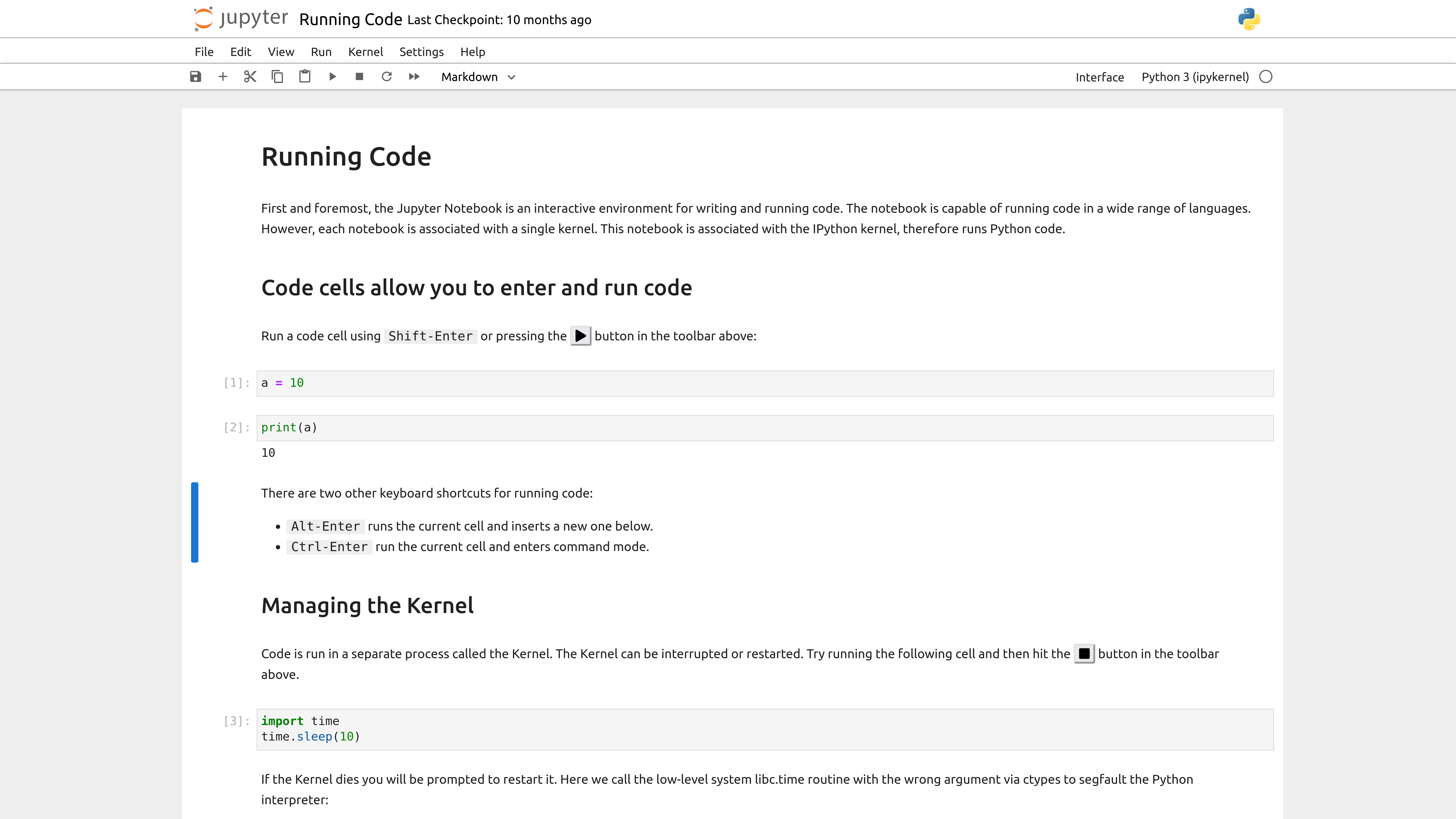 Jupyter notebook example